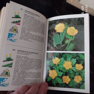 Guía de Flores de Montaña