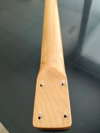 Mástil Guitarra Eléctrica Tokai Stratocaster