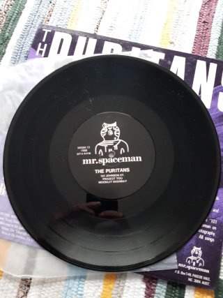 Vinilo the puritans