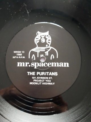 Vinilo the puritans