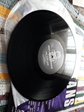 Vinilo the puritans