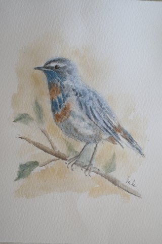 Acuarelas originales de aves, arte vintage