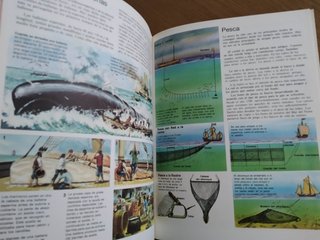 Lote PLESA prehistoria e historia