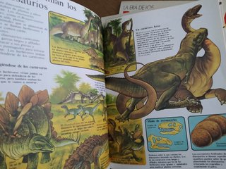 Lote PLESA prehistoria e historia