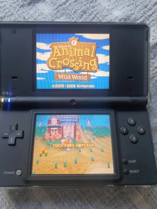 Animal Crossing Wild World Nintendo DS