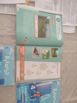 Lengua castellana y literatura 4 primaria revuela