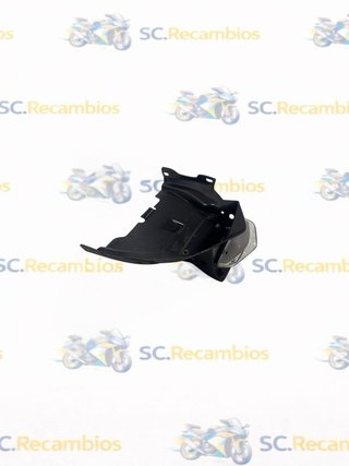 Porta matrícula piloto BMW F900R