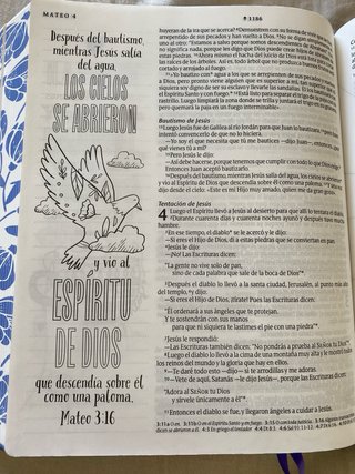Biblia Inspira Ntv, Letra Grande Con Filament
