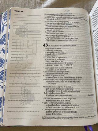 Biblia Inspira Ntv, Letra Grande Con Filament