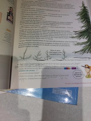 Libro de lengua 5 primaria SM Revuela. Tres libros