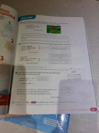 Libro de lengua 5 primaria SM Revuela. Tres libros
