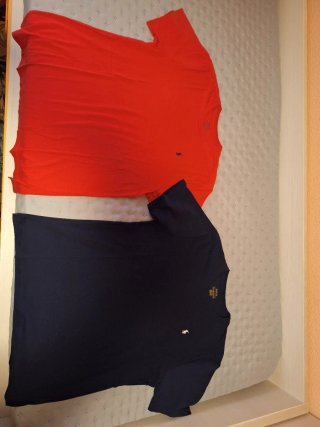 Camisetas Polo Ralph Lauren Niño