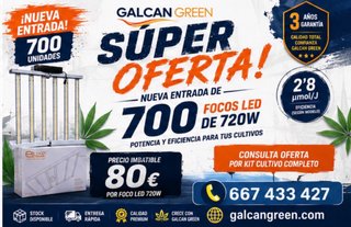 BIRRATECA HTW GALCAN GREEN 667433427