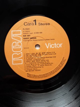 Vinilo Robert Gordon Bad Boy