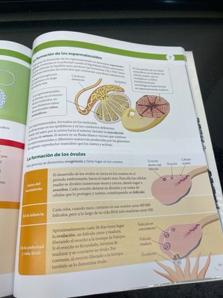 BIOLOGIA Y GEOLOGIA MADRID 3 ESO CONSTRUYENDO M...