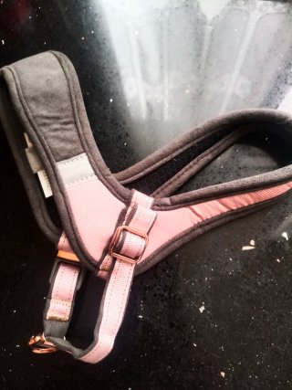 Arnés para perro Coaz Fast-Fit S/M