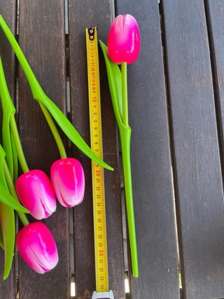 10 Tulipanes de madera Keukenhof neon pink 33cm