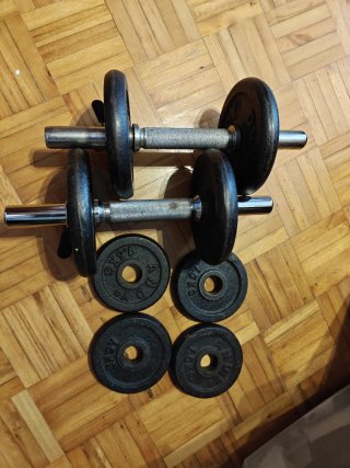 Mancuernas 20kg (par)