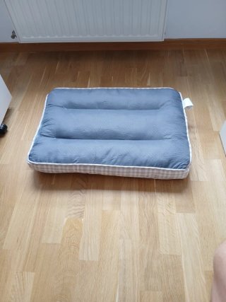 Cama para mascotas con estampado divertido