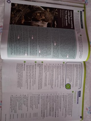 B2 Inglés Cambridge con respuestas