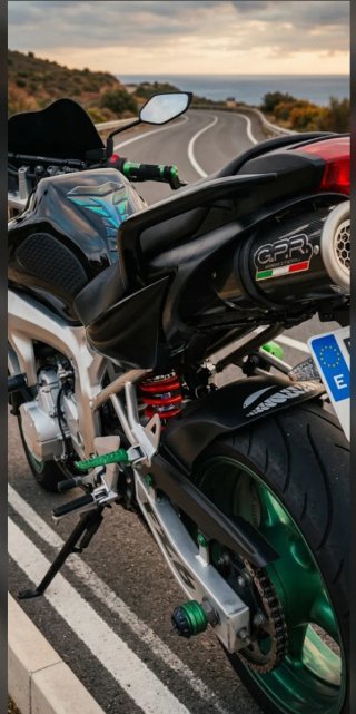 Yamaha FZ6 98cv Naked Negra y Verde