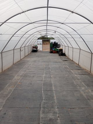 Invernadero 100m2