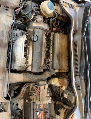 Despiece Seat Ibiza IV 1.4 Gasolina 86CV BXW