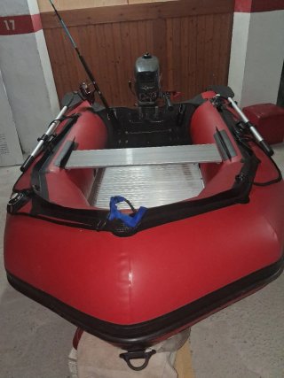 Neumática con motor fueraborda Johnson 5.0