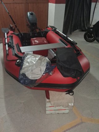 Neumática con motor fueraborda Johnson 5.0