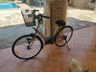Bicicleta urbana con cesta