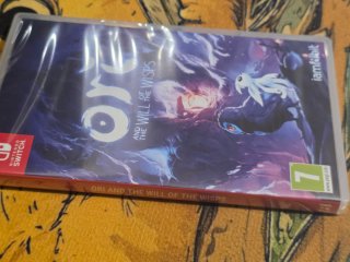 Ori and the Will of the Wisps Nintendo Switch