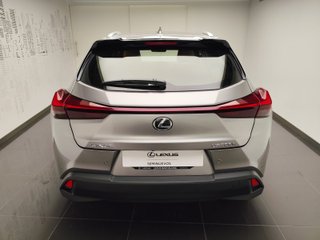 Lexus UX300H UX+ 2024 REF 4025