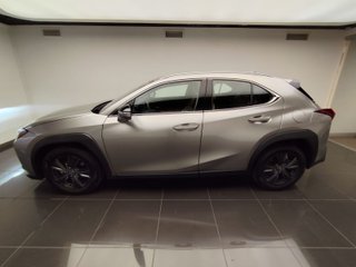 Lexus UX300H UX+ 2024 REF 4025