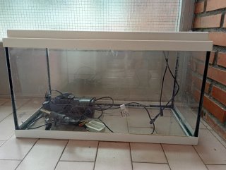 Acuario 60L con calentador de agua y depurador