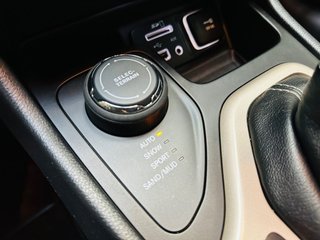 Jeep Cherokee 2.0 T 198kW (270CV) E6D 4WD ADL Auto