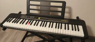 Piano Digital Casio Casiotone LK-S250