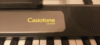 Piano Digital Casio Casiotone LK-S250