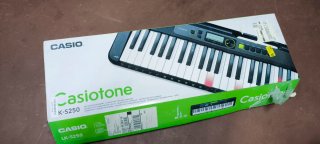 Piano Digital Casio Casiotone LK-S250