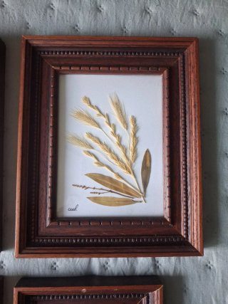 Conjunto 4 Cuadros Flores Secas Madera