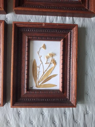 Conjunto 4 Cuadros Flores Secas Madera