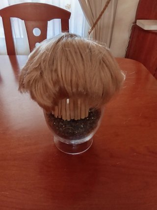 Peluca EraSpooky