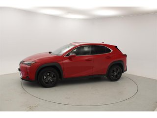 Lexus UX250H PREMIUM 2024 REF 3743