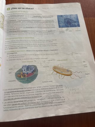 Biología y Geología : 1o ESO : Revuela