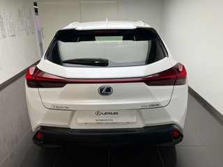 Lexus UX250H BUSINESS 2024 REF 3740