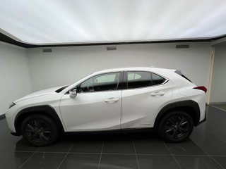 Lexus UX250H BUSINESS 2024 REF 3740