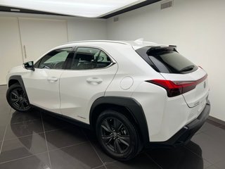 Lexus UX250H BUSINESS 2024 REF 3740