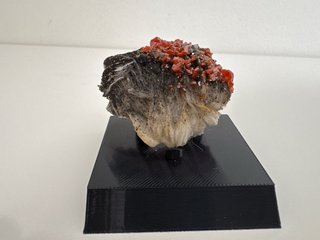 Soporte expositor para minerales y fósiles