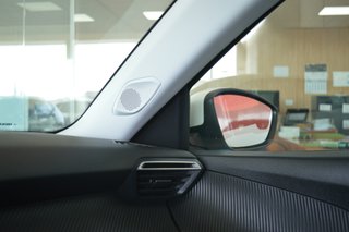 PEUGEOT 2008 Active Pack BlueHDI