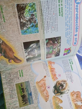 Pack Puzzles PJ Masks y Libros Infantiles