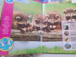 Pack Puzzles PJ Masks y Libros Infantiles